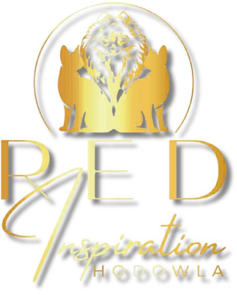 Red Inspiration Logo